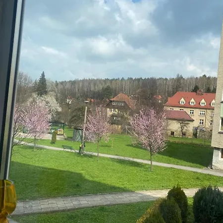 아파트 Apartament Centrum 폴라니카-즈루이